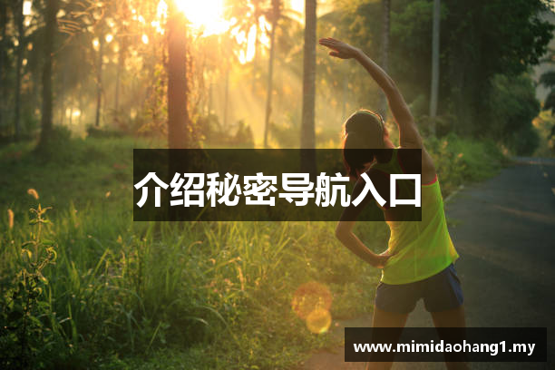 介绍秘密导航入口